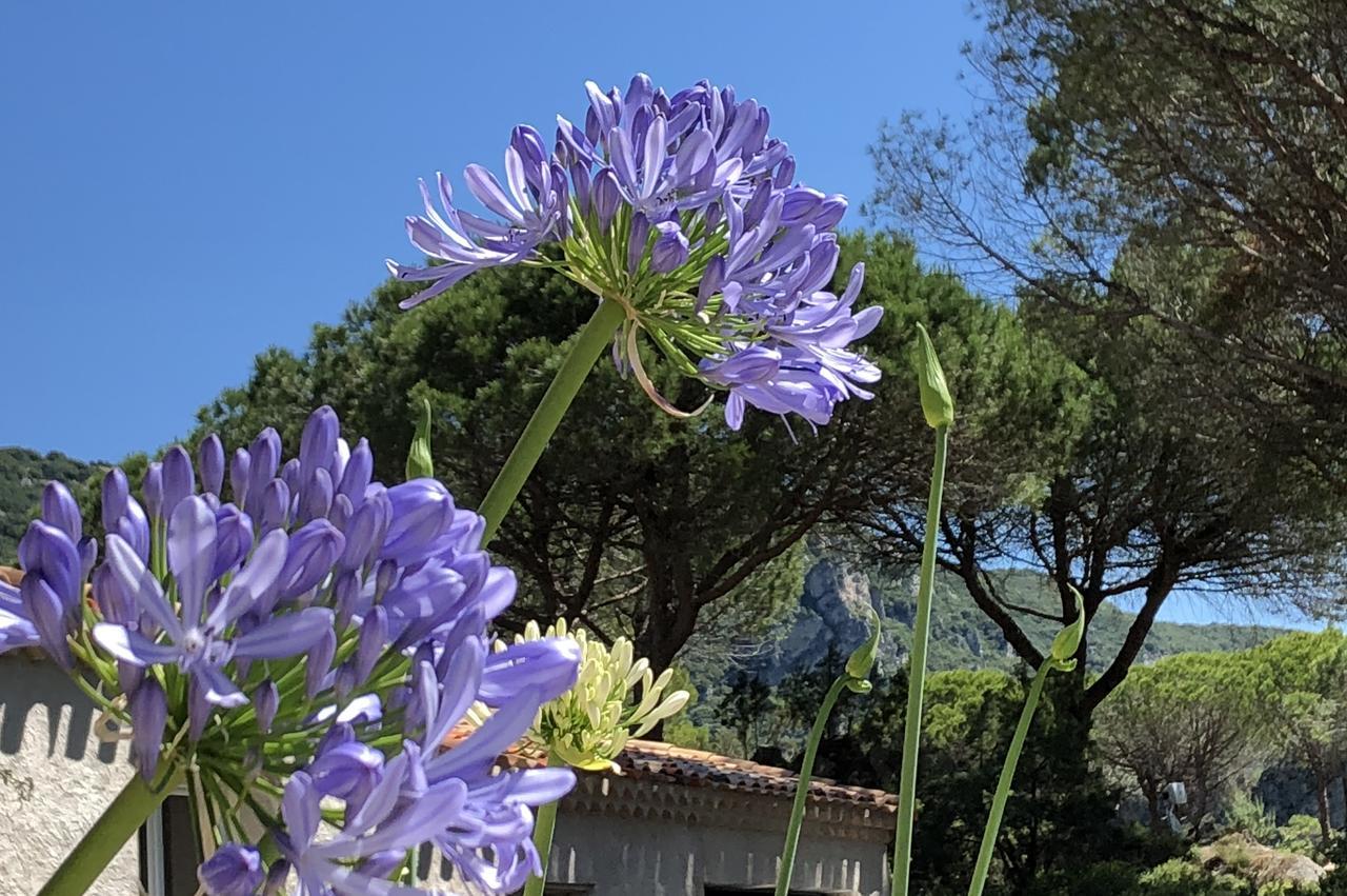 Auberge Val Moureze Hotel & Spa Εξωτερικό φωτογραφία